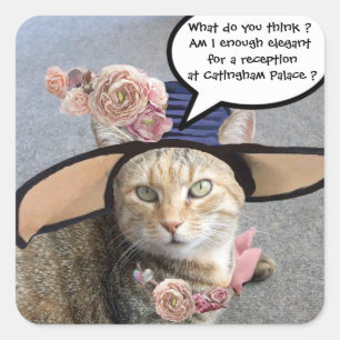ELEGANT CAT MED STOR DIVA HAT,ROSA ROS Valentine Fyrkantigt Klistermärke