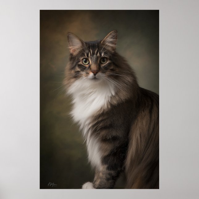 Elegant Cat Studio Portrait Poster (Framsidan)
