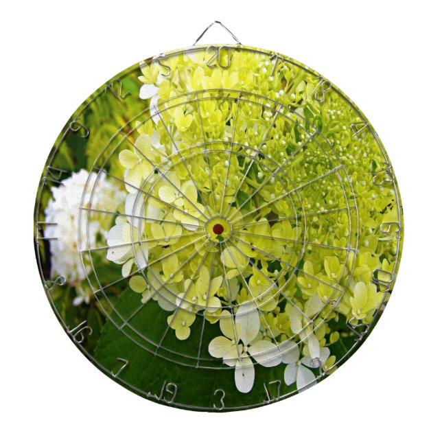Elegant Chartreuse Grön Limelight Hortensia Darttavla (Framsidan)