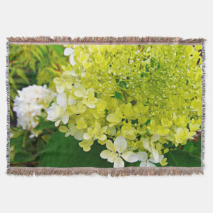 Elegant Chartreuse Grön Limelight Hortensia Filt