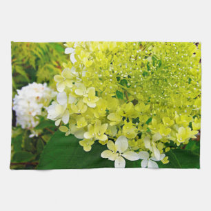 Elegant Chartreuse Grön Limelight Hortensia Kökshandduk