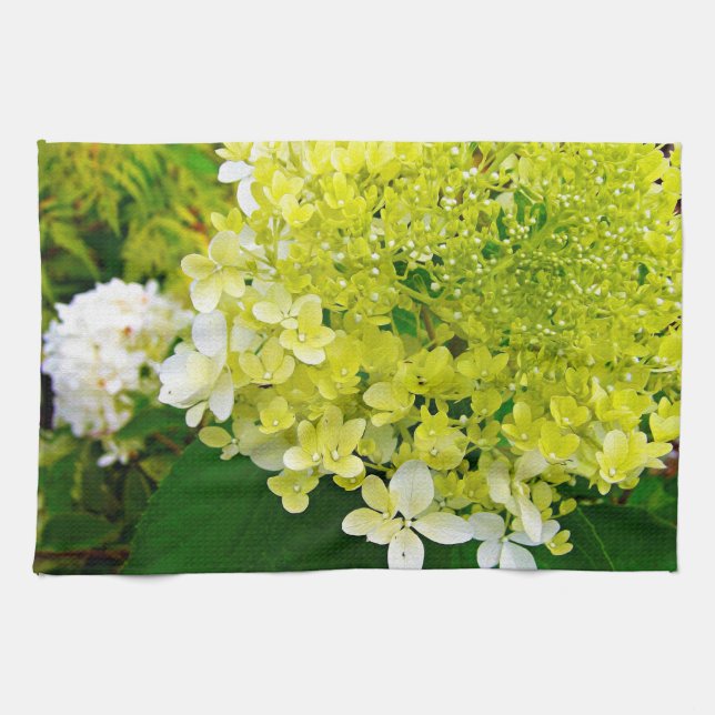 Elegant Chartreuse Grön Limelight Hortensia Kökshandduk (Horisontell)