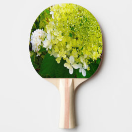 Elegant Chartreuse Grön Limelight Hortensia Pingisracket