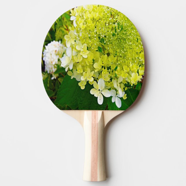 Elegant Chartreuse Grön Limelight Hortensia Pingisracket (Framsidan)