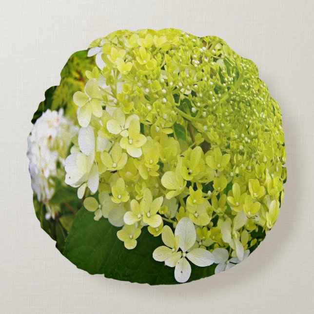 Elegant Chartreuse Grön Limelight Hortensia Rund Kudde (Framsidan)