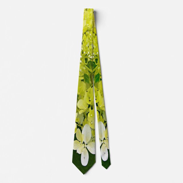 Elegant Chartreuse Grön Limelight Hortensia Slips (Framsida)