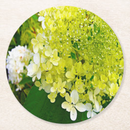 Elegant Chartreuse Grön Limelight Hortensia Underlägg Papper Rund