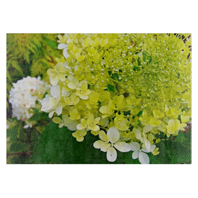 Elegant Chartreuse Grönt Limelight Hydrangea (Framsidan)