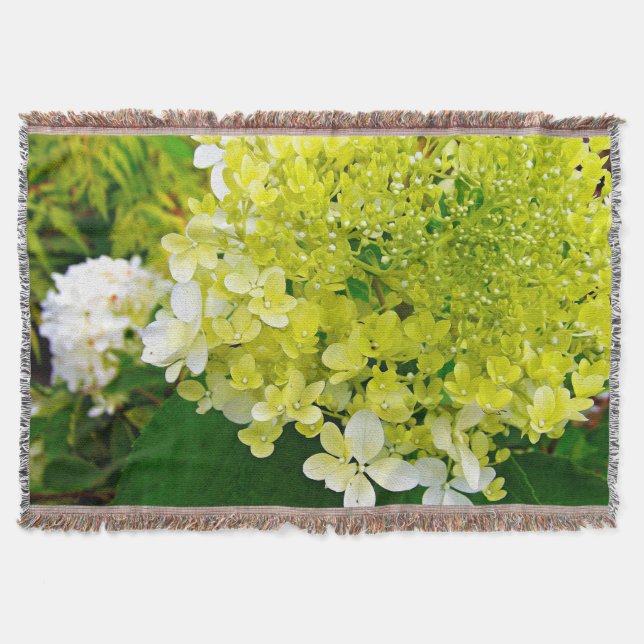 Elegant Chartreuse Grönt Limelight Hydrangea Filt (Framsidan)