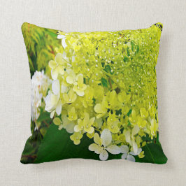 Elegant Chartreuse Grönt Limelight Hydrangea Kudde