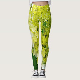 Elegant Chartreuse Grönt Limelight Hydrangea Leggings