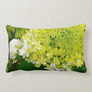Elegant Chartreuse Grönt Limelight Hydrangea Lumbarkudde