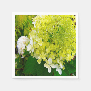 Elegant Chartreuse Grönt Limelight Hydrangea Pappersservett