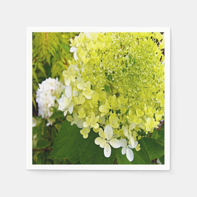 Elegant Chartreuse Grönt Limelight Hydrangea Pappersservett (Framsidan)