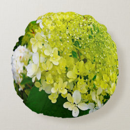 Elegant Chartreuse Grönt Limelight Hydrangea Rund Kudde