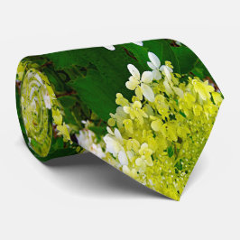 Elegant Chartreuse Grönt Limelight Hydrangea Slips