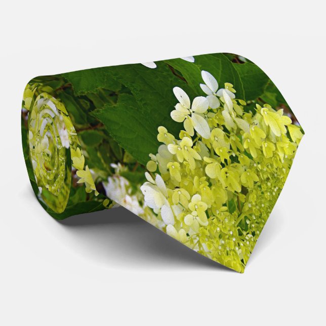 Elegant Chartreuse Grönt Limelight Hydrangea Slips (Rullad)