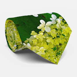 Elegant Chartreuse Grönt Limelight Hydrangea Slips