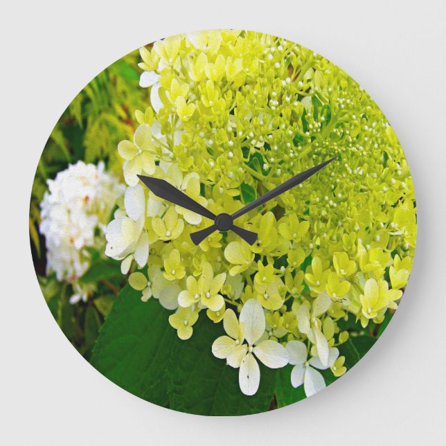 Elegant Chartreuse Grönt Limelight Hydrangea Stor Klocka (Framsida)