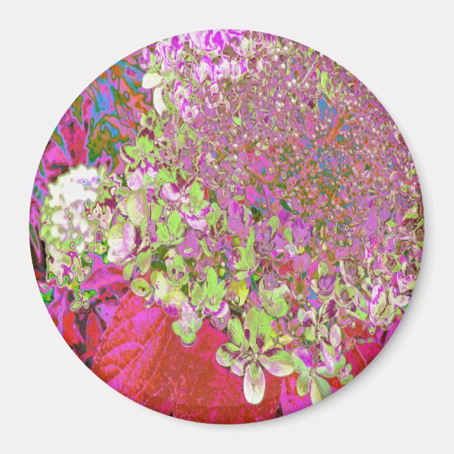 Elegant Chartreuse Grönt, Rosa och Blue Hydrangea Magnet (Framsidan)