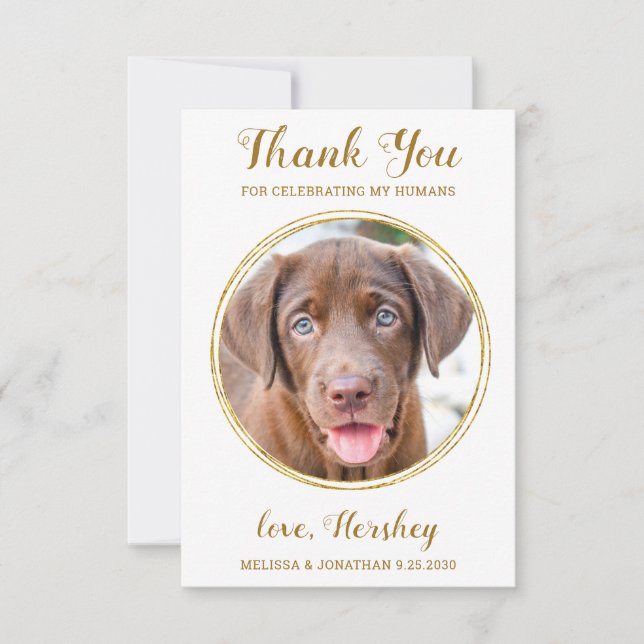 Elegant Chic Guld Anpassningsbar Hund Photo Pet Br Tack Kort (Framsida)