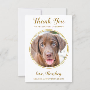 Elegant Chic Guld Anpassningsbar Hund Photo Pet Br Tack Kort