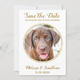 Elegant Chic Guld Anpassningsbar Pet Photo Hund Br Spara Datumet