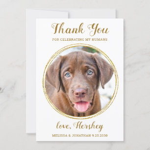 Elegant Chic Guld Anpassningsbar Pet Photo Hund Br Tack Kort