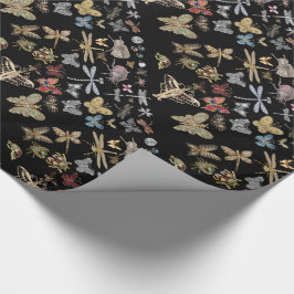 Elegant Chic Meadow Butterfly Insekter Black Beetl Presentpapper