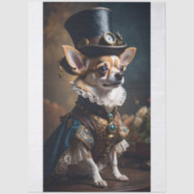 Elegant Chihuahua