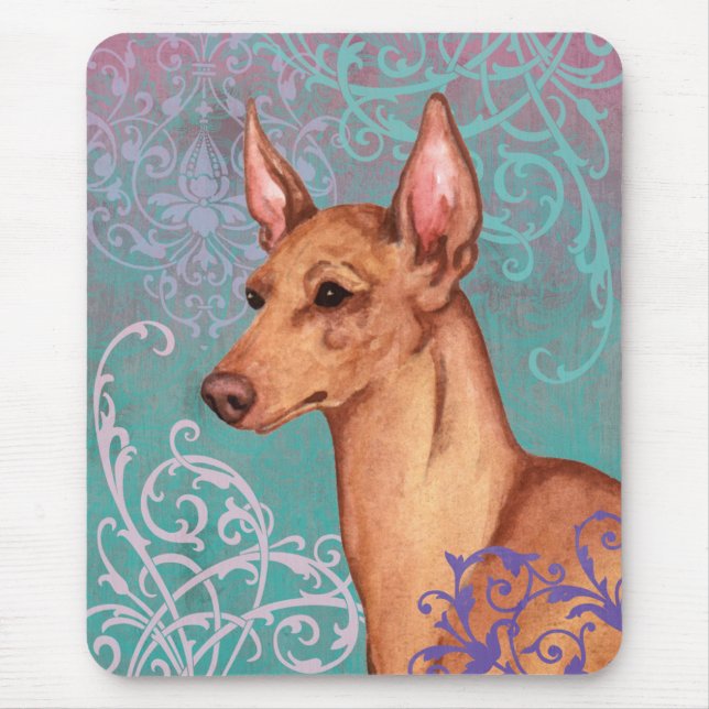 Elegant Cirneco dell'Etna Musmatta (Framsidan)