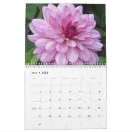 Elegant Colorful Dahlias Botanical Calendar Kalender