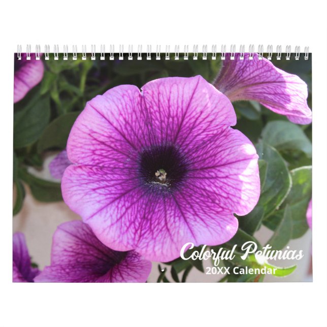 Elegant Colorful Petunias Botanical Calendar Kalender (Omslag)