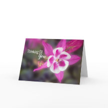 Elegant Columbine Rosa Thinking of You