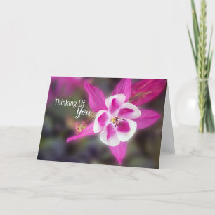 Elegant Columbine Rosa Thinking of You Kort