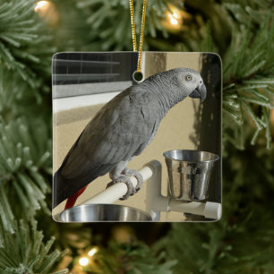Elegant Congo African Grått Parrot på stand Julgransprydnad Keramik