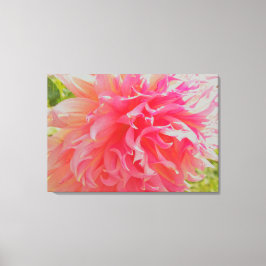 Elegant Coral and Rosa Decorative Dahlia Canvastryck