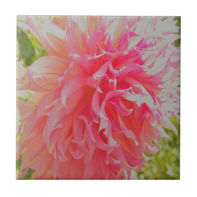Elegant Coral and Rosa Decorative Dahlia Kakelplatta (Framsidan)