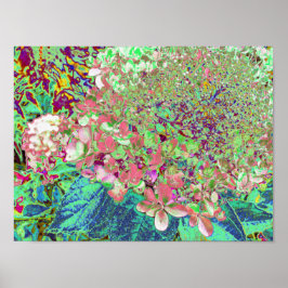 Elegant Coral och Chartreuse Limelight Hydrangea Poster