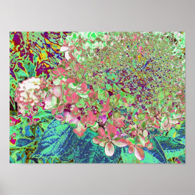 Elegant Coral och Chartreuse Limelight Hydrangea Poster (Framsidan)