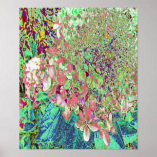 Elegant Coral och Chartreuse Limelight Hydrangea Poster