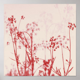 Elegant Coral Red Blommigt Abstrakt Poster