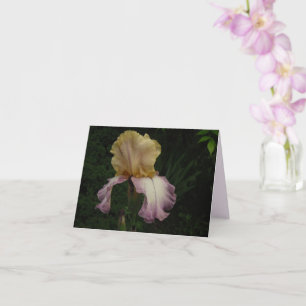 Elegant Cream Lila Iris Blommigt Photo Kort