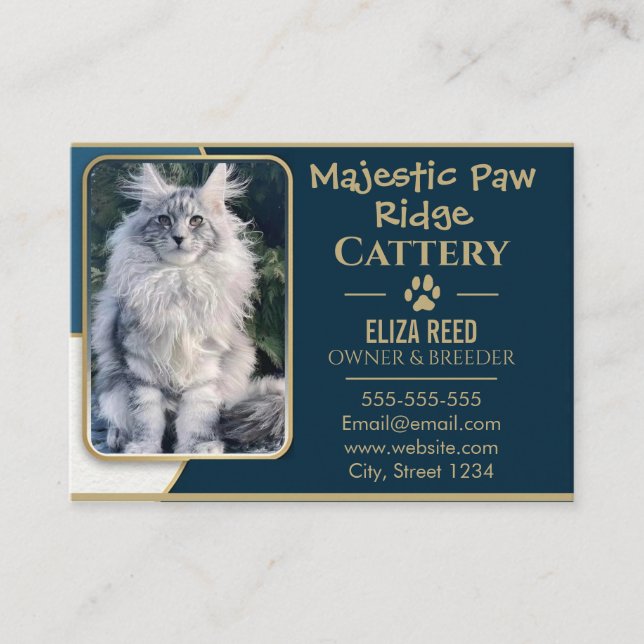 Elegant Custom Maine Coon Cattery Business Card  Visitkort (Framsida)