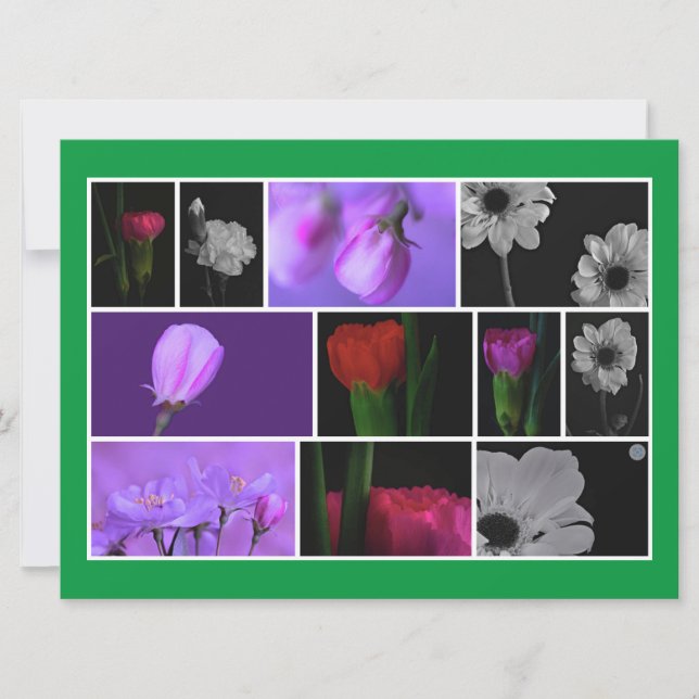Elegant, Cute Flowers Photo Collage på Kelly Grönt (Framsida)
