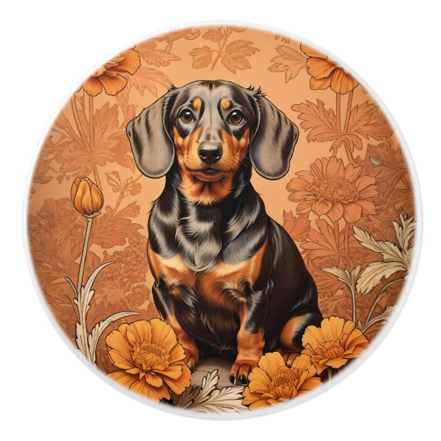Elegant Dachshund och sammetsblommor Knopp (Framsidan)