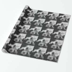 Elegant Daisy Flowers in Black and White Presentpapper