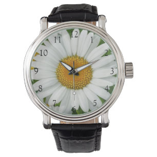 Elegant daisy vita blommor av blommigt gröna armbandsur