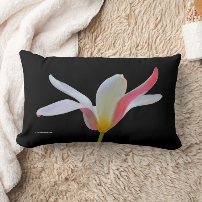 Elegant Dam Tulip White Rosa Flowers Lumbarkudde (Filt)