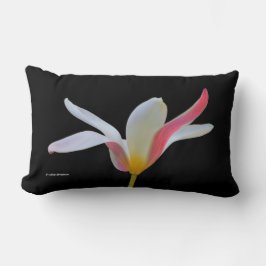 Elegant Dam Tulip White Rosa Flowers Lumbarkudde